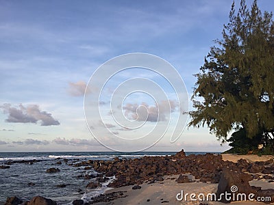 Low tide Stock Photo