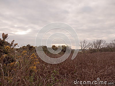 Low tide summer sky nightfall grey clouds mood and reds with riv Stock Photo