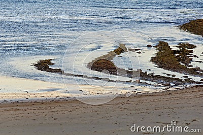 Low tide - Torquay Stock Photo