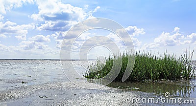 Low tide on the Wadden. Stock Photo