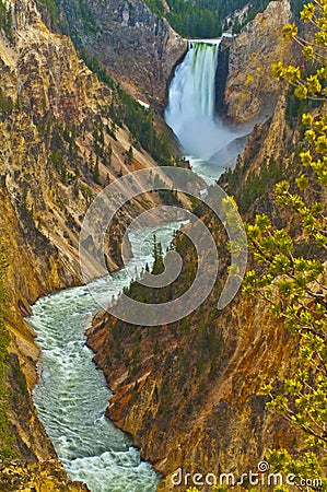 Lower Yellowstone Falls Stock Photo