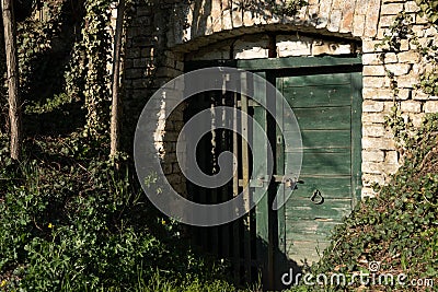 green wooden door of a wine cellar built from bricks Stock Photo