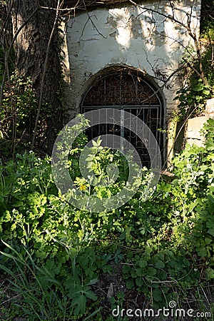overgrown wine cellar with metal gate in Lower Austrian wine cellar Stock Photo