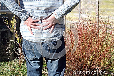 Lower back pain, arthritis. Stock Photo