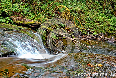 The Lower McDowell Creek, Oregon Stock Photo