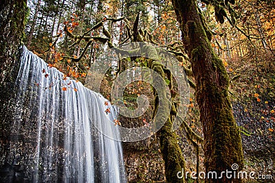 Lower South Falls in autumn, Silver Falls State Park, Oregon Stock Photo