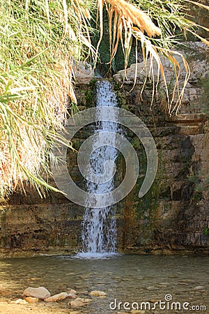 Lower Waterfall in Ein Gedi Oasis, Israel Stock Photo