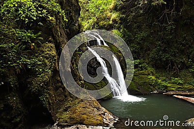 Lower Wolf creek waterfall located outside of Glide, OR. Stock Photo