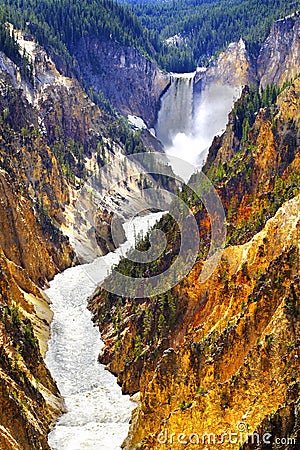 Lower Yellowstone Waterfall Falls in Canyon National Park Stock Photo