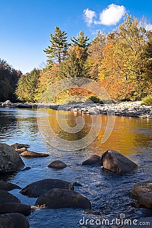 The loyal sock creek Stock Photo