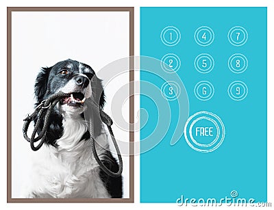 Loyalty Card Designed for Petshop, Veterinary Clinics, Pet Salons etc. Portrait of Cute Border Collie Holding a leash Stock Photo