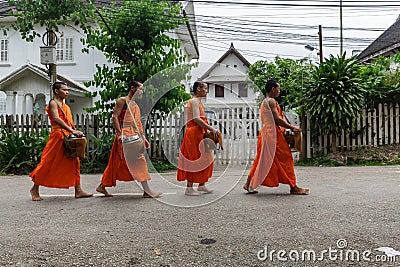 Four Buddhist monks collect alms in Luang Prabang, Laos Editorial Stock Photo