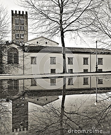 Lucca bell tower san frediano Stock Photo