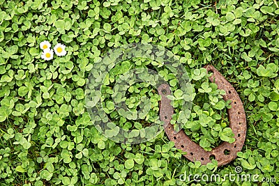 Lucky charm on clover as a background Stock Photo