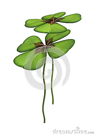 Lucky Clover or Shamrock on White Stock Photo