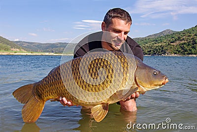 Carp fishing. Catch and release Stock Photo