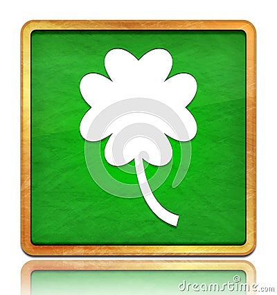 Lucky four leaf clover icon chalk board green square button slate texture wooden frame concept isolated on white background with Cartoon Illustration