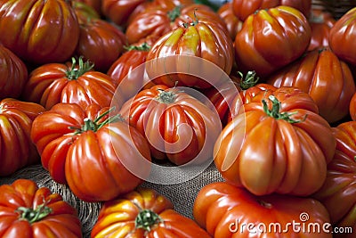 Lufa Farms Beefsteak Tomato Stock Photo