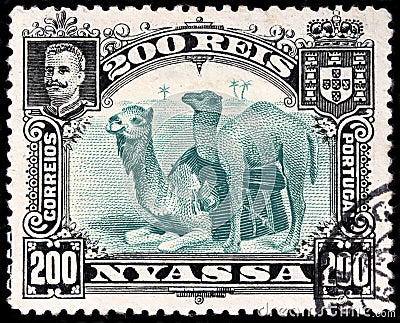 Two Camels Stamp Editorial Stock Photo