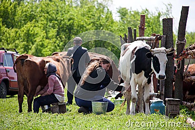 LUGANSK, UKRAINE - JUNE 19, 2016: Two women milk the cows in village Editorial Stock Photo