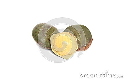 Luk nieng, djenkol bean fruit isolated on white background Stock Photo
