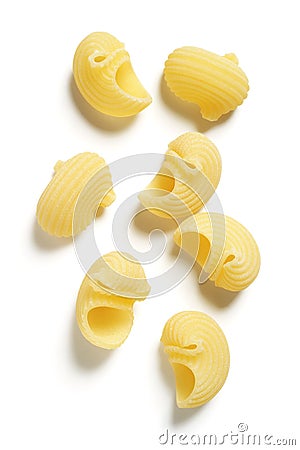 Lumaconi or Snail Shell Pasta Stock Photo