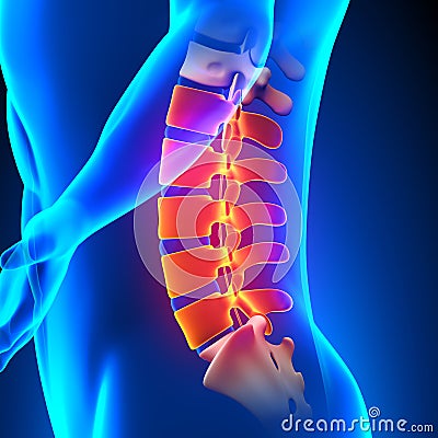 Lumbar Spine Anatomy Pain concept Stock Photo