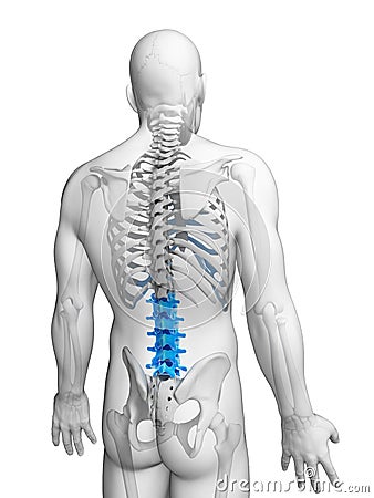 Lumbar spine Cartoon Illustration