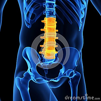 The lumbar spine Cartoon Illustration