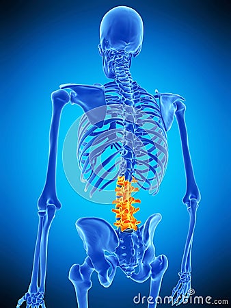 The lumbar spine Cartoon Illustration