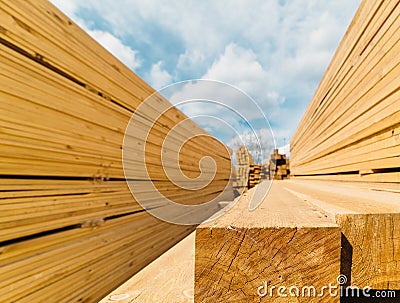 Lumber market Stock Photo