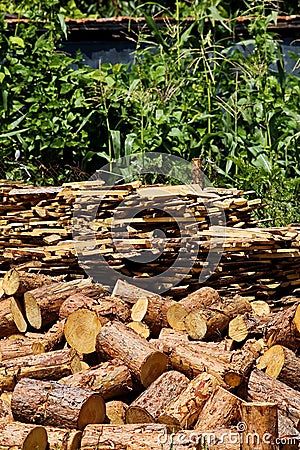 Lumber stored in farm yard Stock Photo