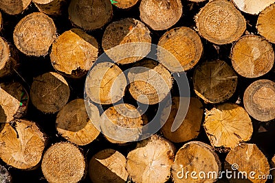 Lumber wood Stock Photo