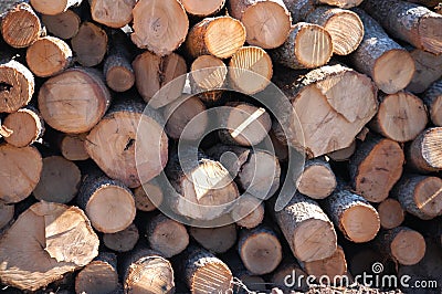 Lumber yard Stock Photo