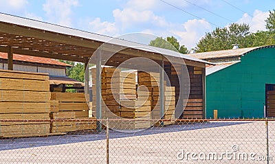 Lumber yard with piles of lumber Stock Photo