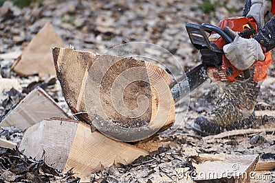 Lumberjack cuts wood with a circular saw Stock Photo