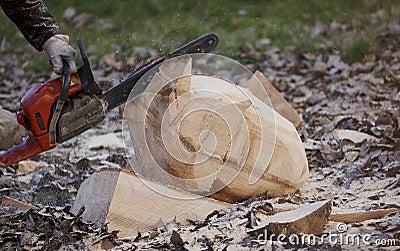 Lumberjack cuts wood with a circular saw Stock Photo