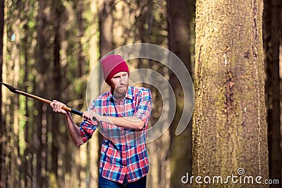 The lumberjack swung his ax to cut a tree Stock Photo