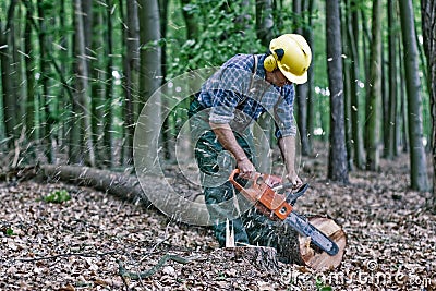 Lumberjack in the woods Stock Photo