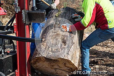 Lumberjacks with hydraulic wood splitter Stock Photo