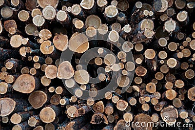 Lumberyard Stock Photo