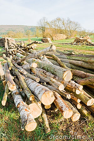 Lumberyard Stock Photo