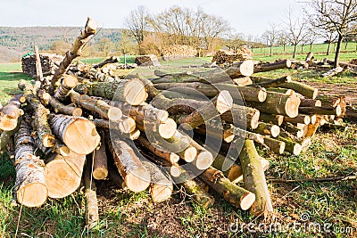 Lumberyard Stock Photo