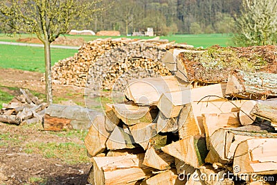 Lumberyard Stock Photo