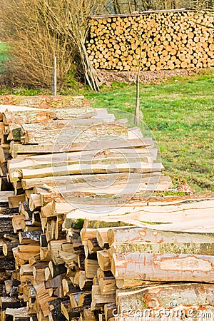 Lumberyard Stock Photo