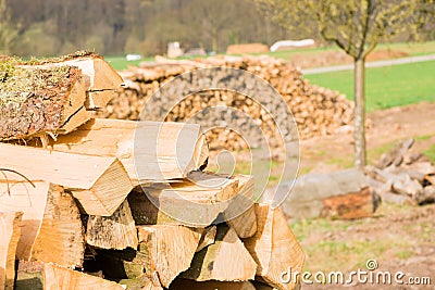 Lumberyard Stock Photo