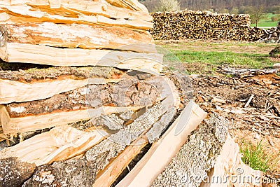 Lumberyard Stock Photo