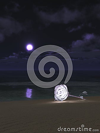 Luminous white rose on moonlit beach Stock Photo