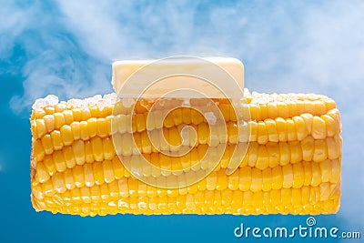 A lump of butter is melted on hot cooked corn. A large ear of yellow corn is shown against a light blue background Stock Photo