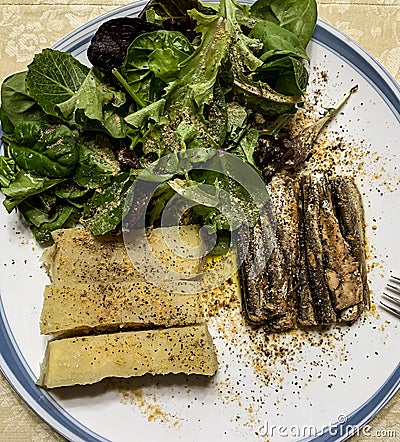 Lunch plate. Portion control. A side of salad one cup. A side of yam one deck, A can of sardine. Stock Photo